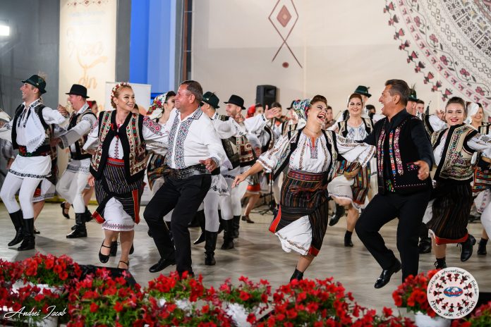 67331445_2297067570555397_2431317755757068288_n Hora din Străbuni